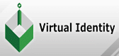 Virtual Identity - logo