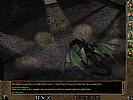 Baldur's Gate 2: Shadows of Amn - screenshot #116