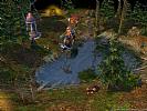 Heroes of Might & Magic 5: Tribes of the East - screenshot #2