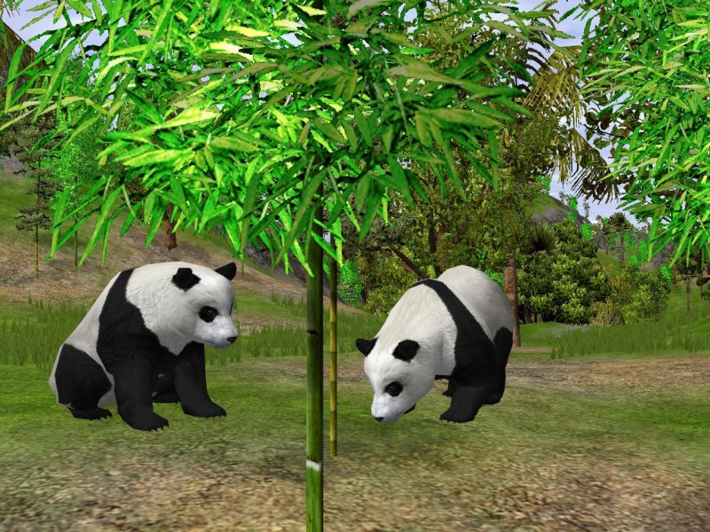Wildlife Zoo: Deluxe Edition - screenshot 4