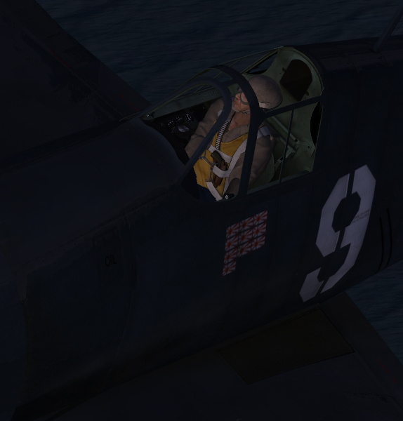 Grumman F6F Hellcat - screenshot 1
