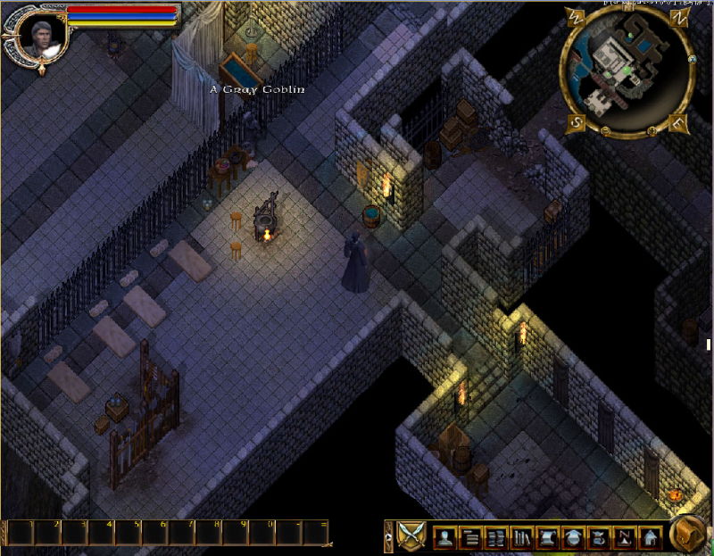 Ultima Online: Stygian Abyss - screenshot 8