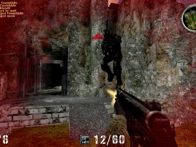 AssaultCube - screenshot 4