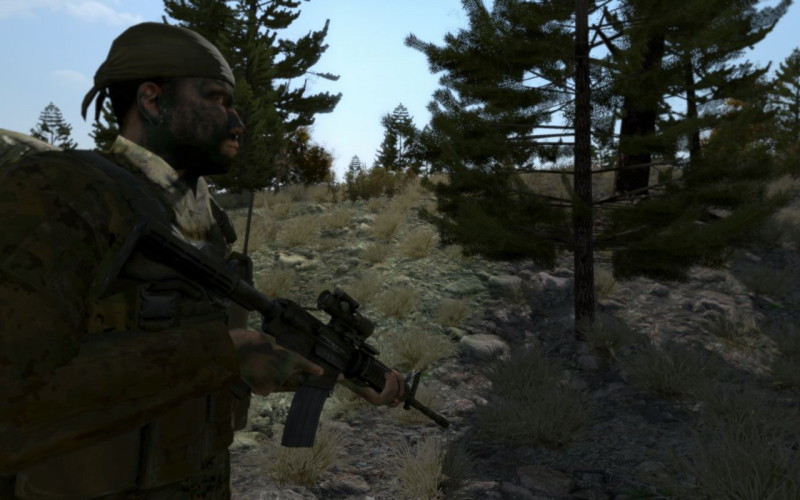ARMA II - screenshot 5