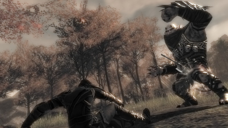 Guild Wars 2 - screenshot 16