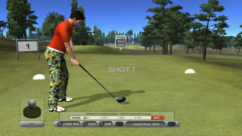 John Daly's ProStroke Golf - screenshot 3