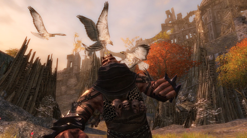 Guild Wars 2 - screenshot 11