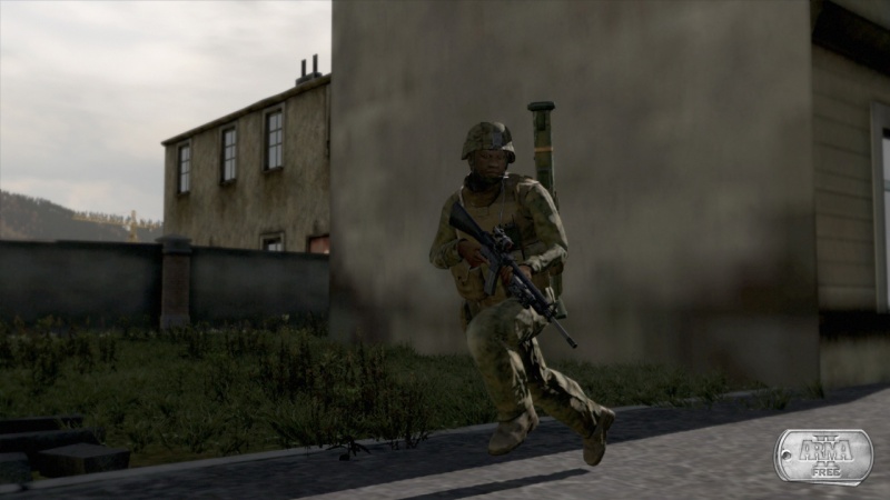 Arma 2: Free - screenshot 4