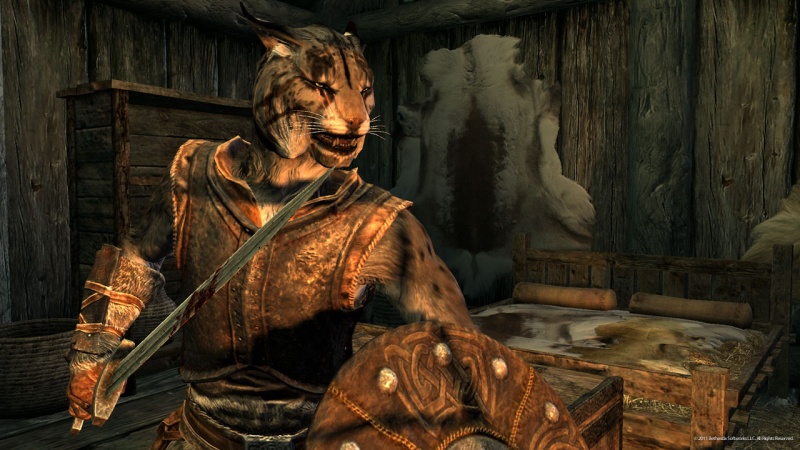 The Elder Scrolls 5: Skyrim - screenshot 29