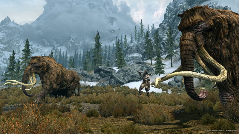 The Elder Scrolls 5: Skyrim - screenshot 26