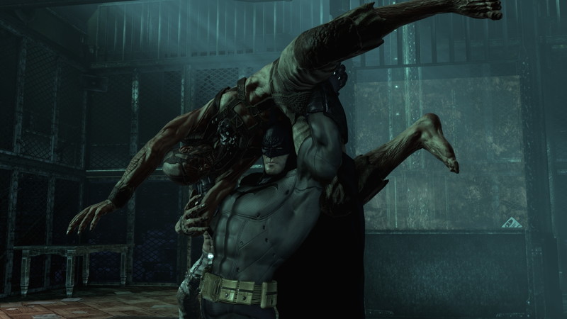 Batman: Arkham Asylum - Game of the Year Edition - screenshot 8