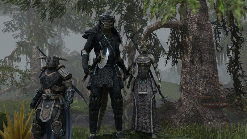 The Elder Scrolls Online - screenshot 13