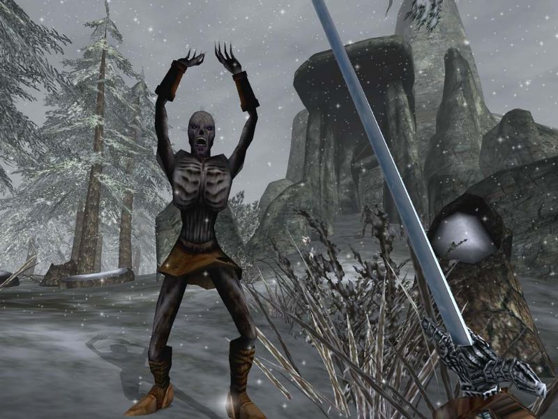 The Elder Scrolls 3: Bloodmoon - screenshot 15