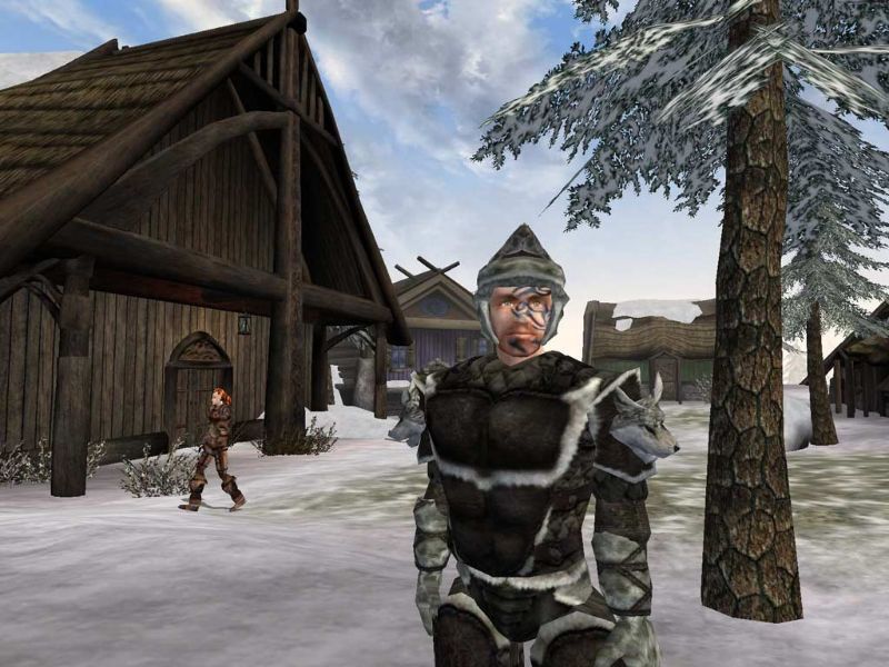 The Elder Scrolls 3: Bloodmoon - screenshot 12