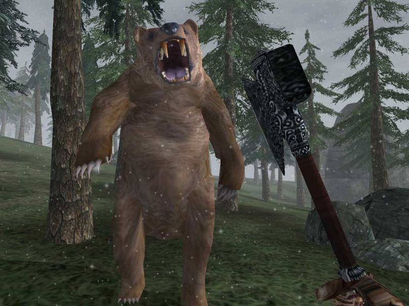 The Elder Scrolls 3: Bloodmoon - screenshot 11