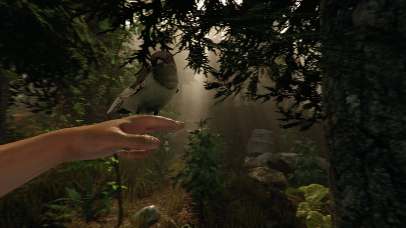The Forest - screenshot 10