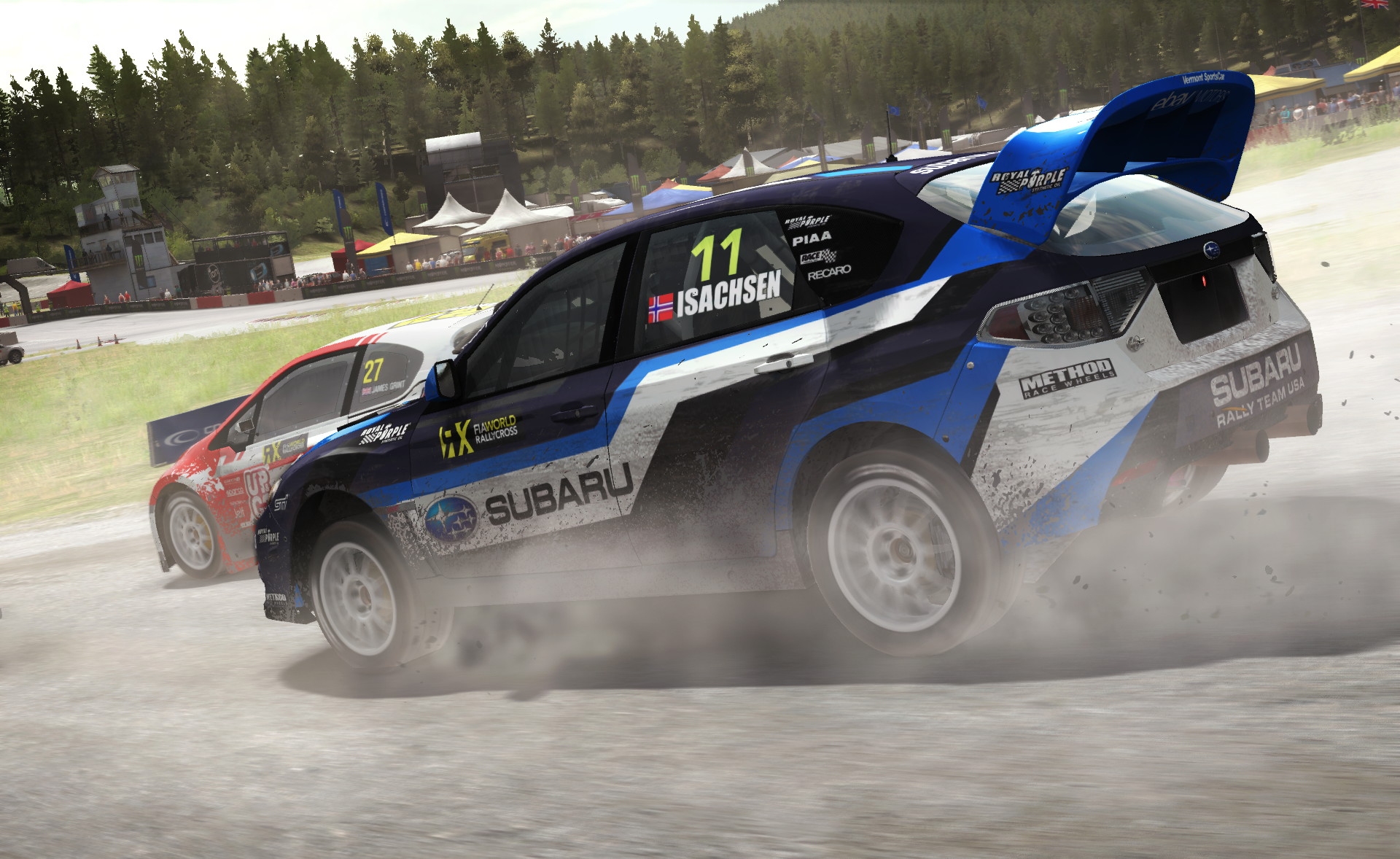 DiRT Rally - screenshot 10