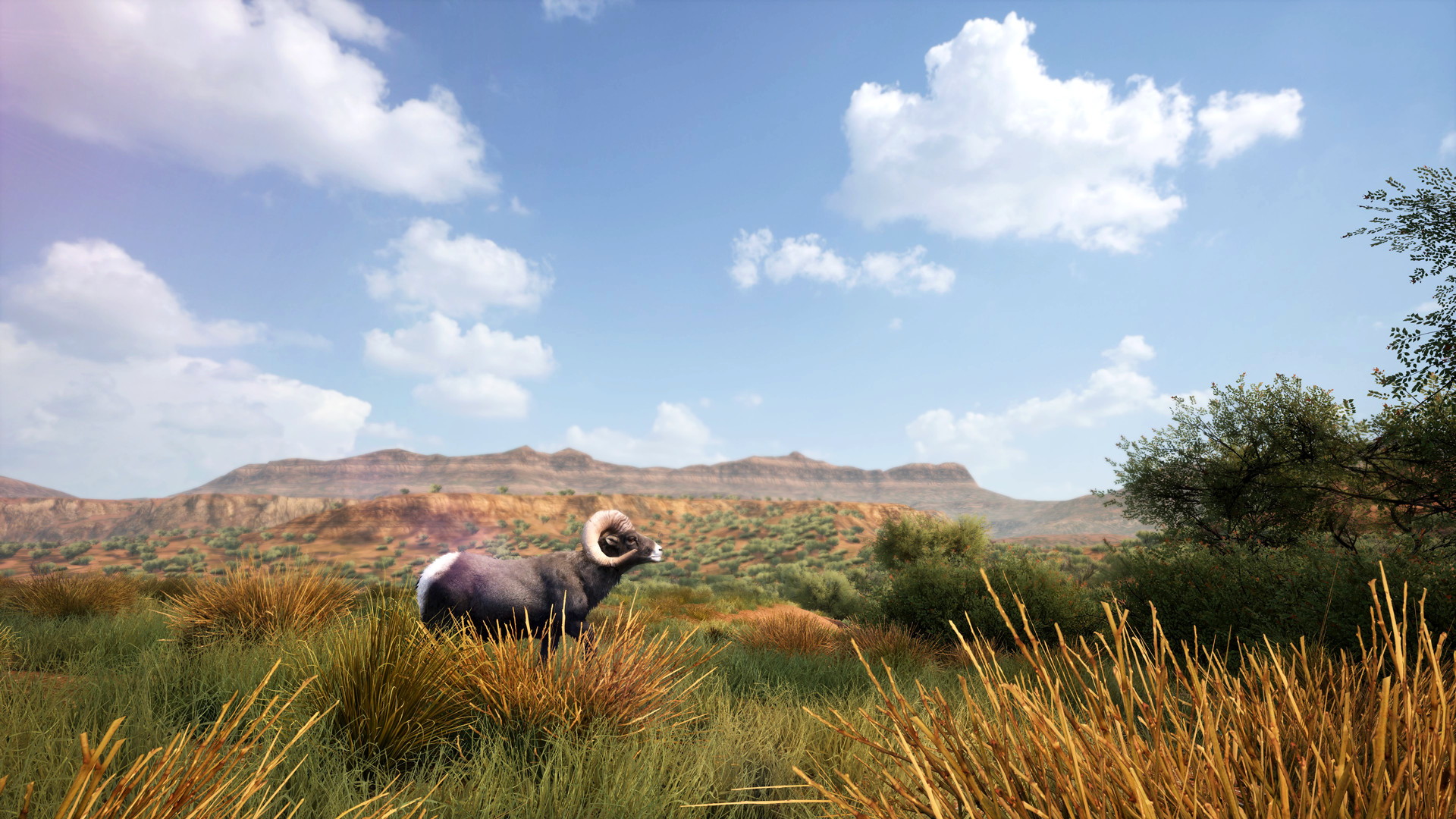 Hunting Simulator 2 - screenshot 3