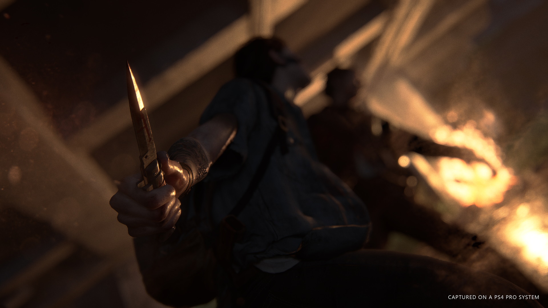 The Last of Us Part II - screenshot 2