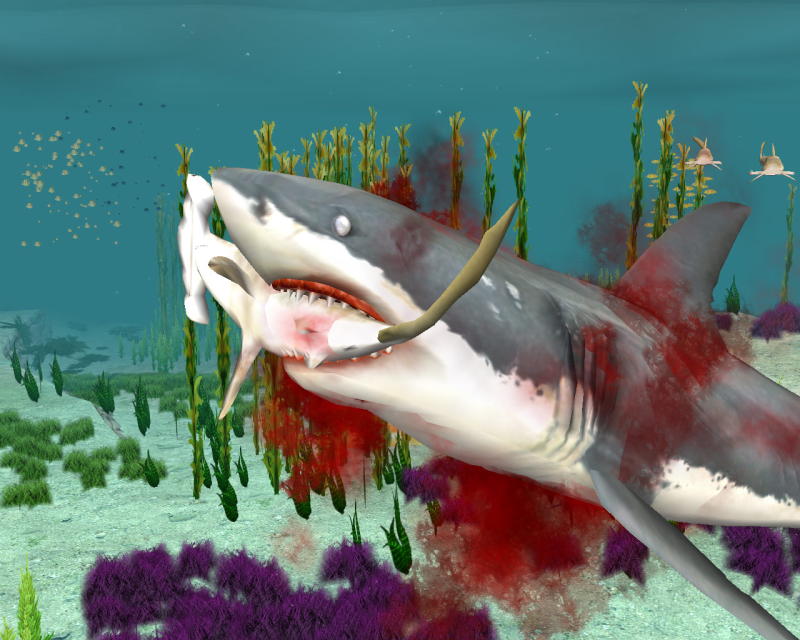 Jaws Unleashed - screenshot 1