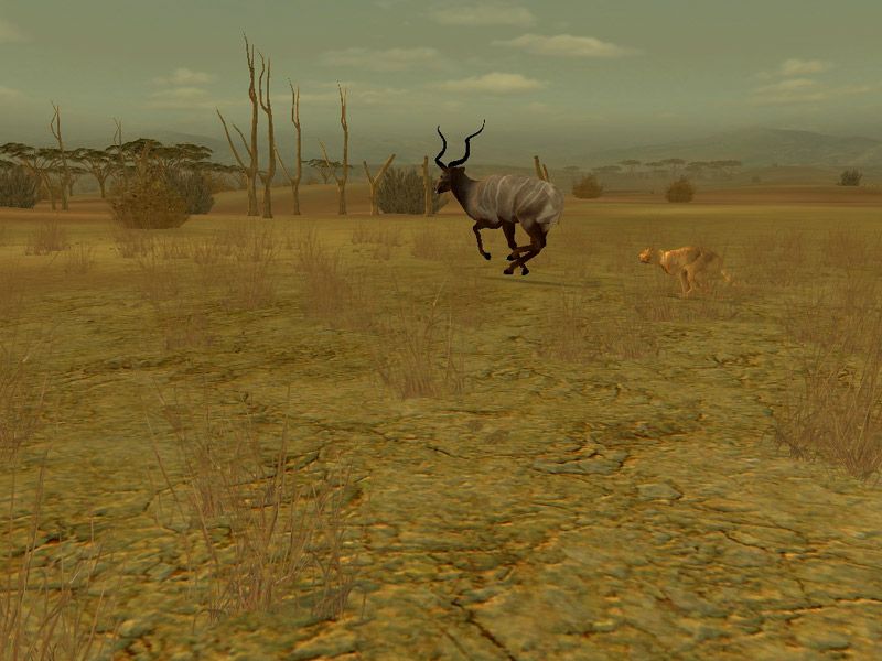 Hunting Unlimited 3 - screenshot 16