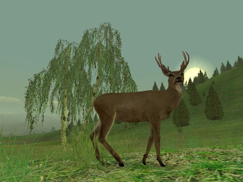 Hunting Unlimited 3 - screenshot 14