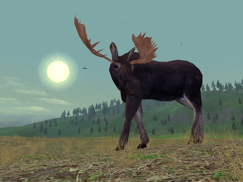 Hunting Unlimited 3 - screenshot 10