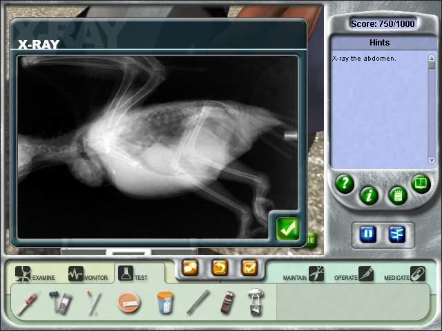 Zoo Vet - screenshot 14