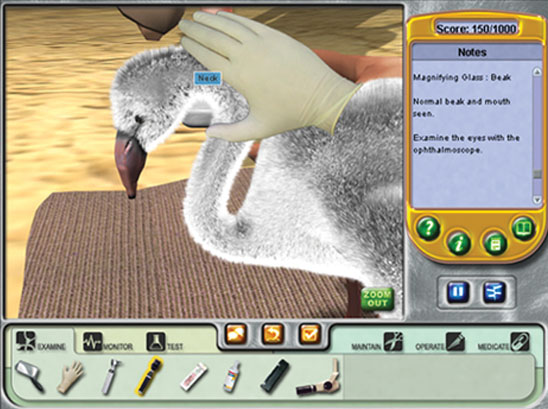 Zoo Vet - screenshot 11