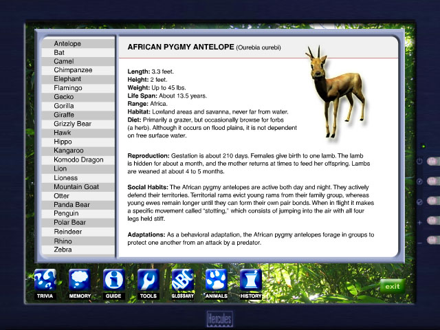 Zoo Vet - screenshot 1
