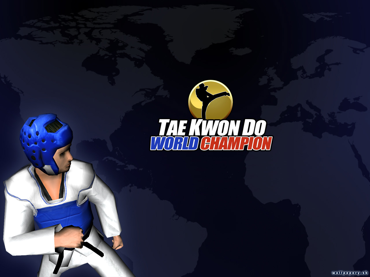 Tae Kwon Do World Champion - wallpaper 1