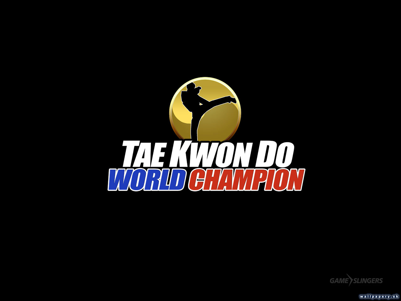 Tae Kwon Do World Champion - wallpaper 2