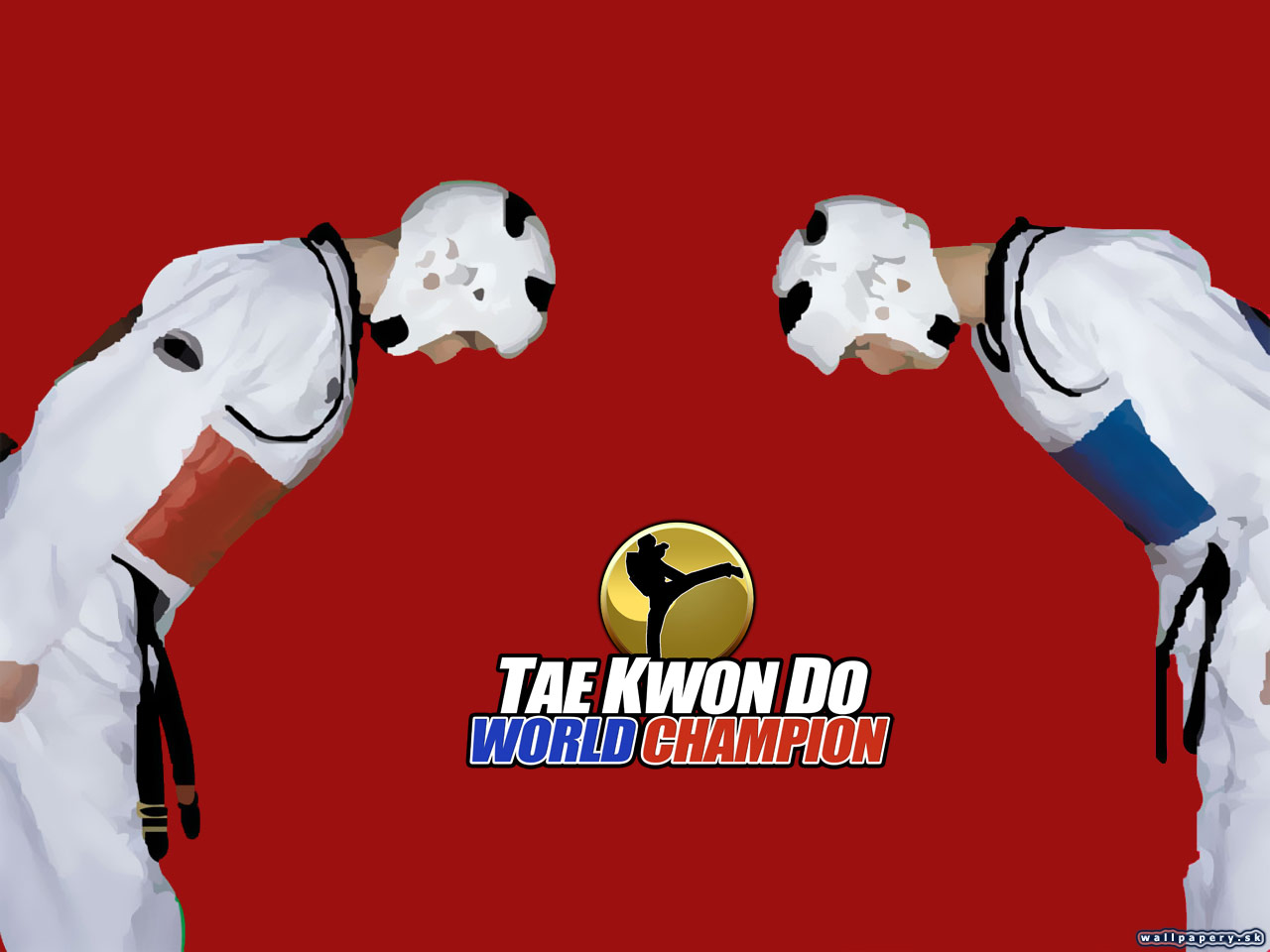 Tae Kwon Do World Champion - wallpaper 3