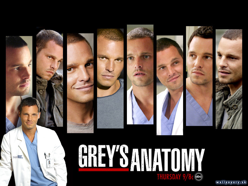 Greys Anatomy: The Video Game - wallpaper 13