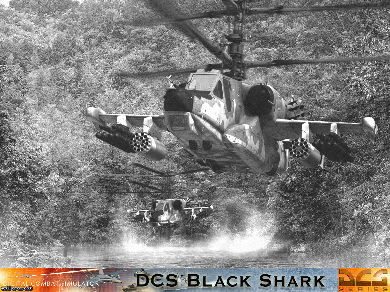 DCS: Black Shark - wallpaper 3
