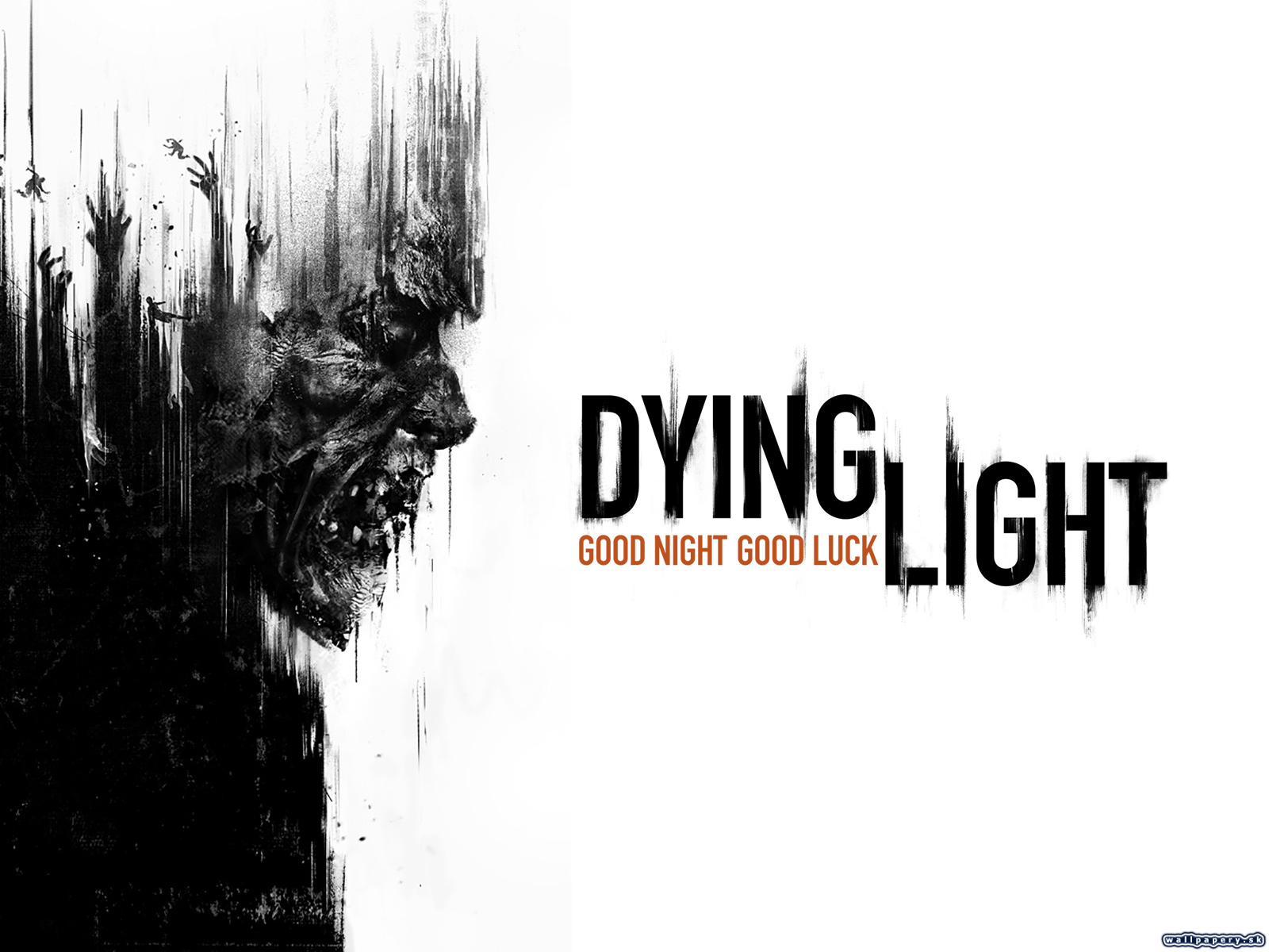 Dying Light - wallpaper 8