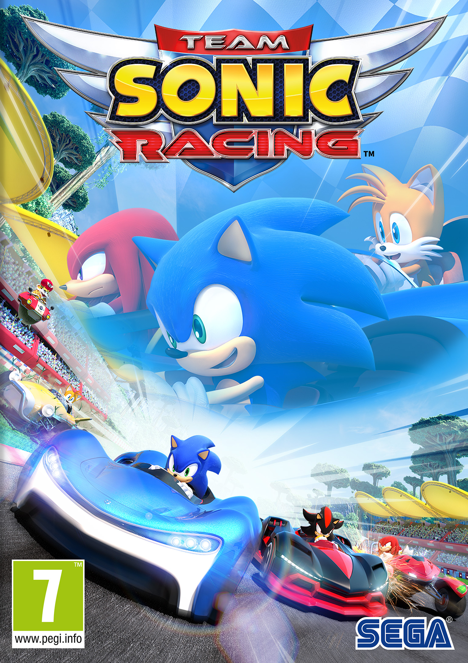 Team Sonic Racing - predn DVD obal