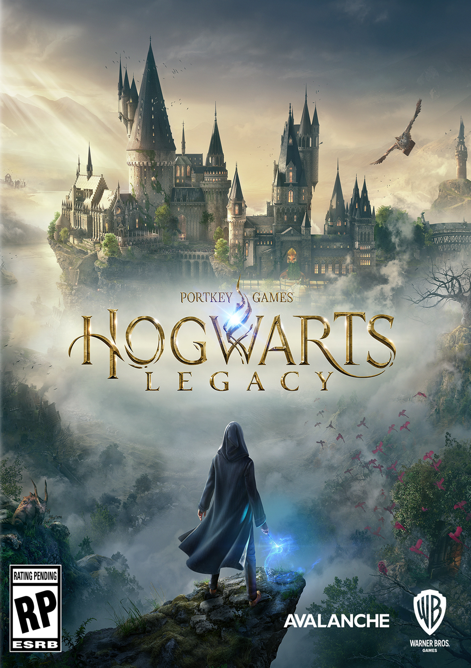 Hogwarts Legacy - predn DVD obal