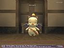 Final Fantasy XI: Online - screenshot #1