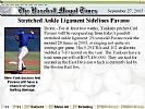 Baseball Mogul 2006 - screenshot #9