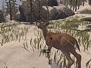 Deer Hunter: Reloaded - screenshot #2