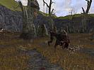 The Lord of the Rings Online: Shadows of Angmar - screenshot #36