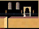 Prince of Persia (1990) - screenshot #11
