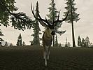 Deer Hunter 2005 - screenshot #10