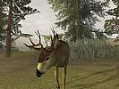 Deer Hunter 2005 - screenshot #6