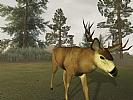 Deer Hunter 2005 - screenshot #2