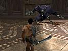 Gladiator: Sword of Vengeance - screenshot #2