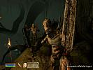 The Elder Scrolls 4: The Shivering Isles - screenshot #2