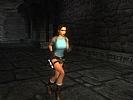 Tomb Raider: Anniversary - screenshot #6