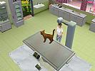 Pet Vet 3D: Animal Hospital - screenshot #4
